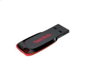 SanDisk Cruzer 32GB Pen Drive