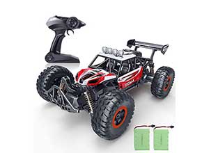 SPESXFUN 1/14 Scale High Speed Remote Car