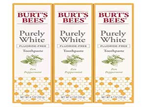 Burts Bees Fluoride Free Toothpaste