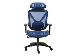 FlexFit Dexley Mesh Task Chair