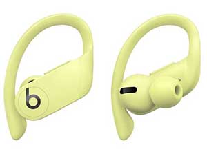 Powerbeats Pro Totally Wireless Earphones