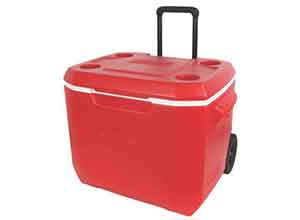 Coleman 50-Quart Xtreme 5-Day Cooler