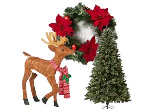 Save $10 when you spend $50 on Christmas gifts