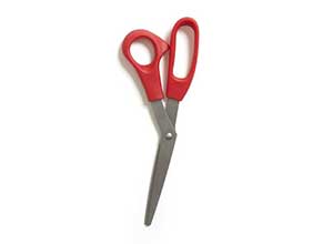 Baseline 8inch Stainless Steel Scissor