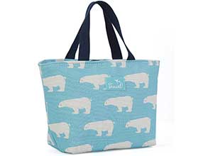 Insulated Leakproof Lunch Tote Handbag