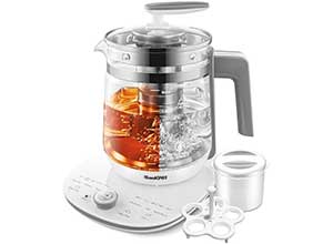 Electric Kettle Glass Programmable Tea Pot