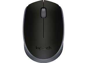 Logitech M170