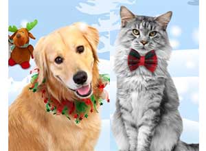 Holiday store central At Healthypets