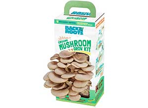 Organic Mushroom Growing Kit