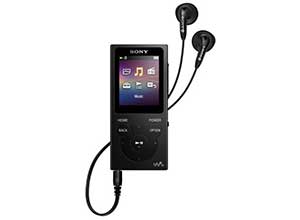 Sony Walkman NW-E393 4 GB Flash MP3 Player