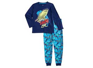 Boys 2 Piece Long Sleeve Pajama Pant Set