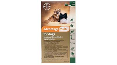 Protect Your Pet Heart with Heartworm - 10%OFF