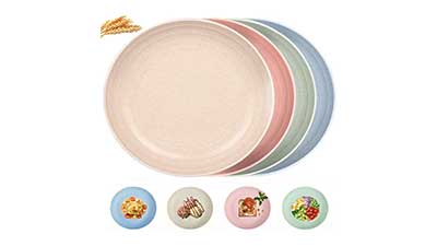 Dinner Plates 8.9 Inch Sets for 4