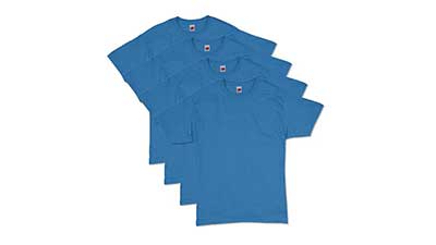 Hanes Men's Essentials Short Sleeve T-Shirt