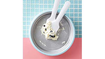 Chefn Sweet Spot Ice Cream Maker