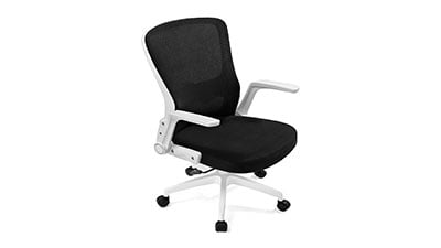 Lucklife Ergonomic Office Chair