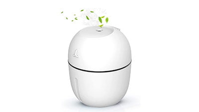Portable Small Humidifier for Bedroom Plant