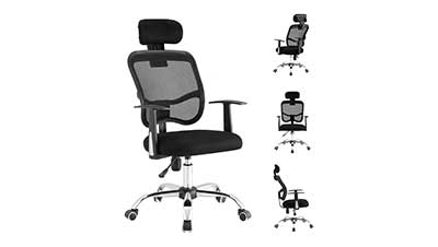 LIONROAR Office Chair with lumbar support