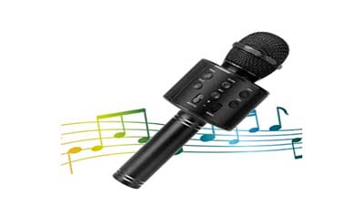 WDYS Wireless Bluetooth Karaoke Microphone