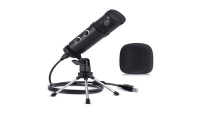 mic with stand