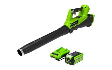 Cordless Axial Leaf Blower