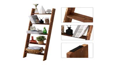 Ladder Shelf