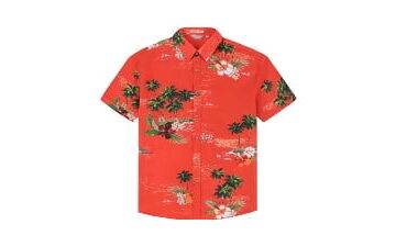 Hawaiian Shirt