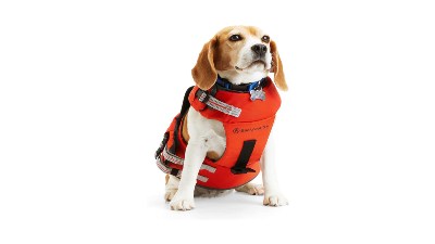 Backcountry x Petco Flotation Dog Vest