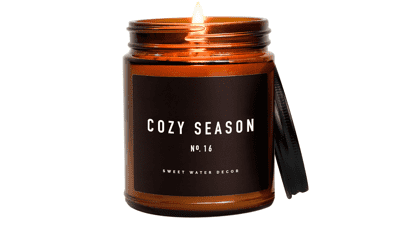 Cozy Season Candle | Woods, Warm Spice, and Citrus Autumn Scented Soy Candles for Home | 9oz Amber Jar, 40 Hour Burn Time