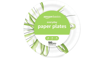 Everyday Paper Plates - 10 Inch - Disposable - 100 Count