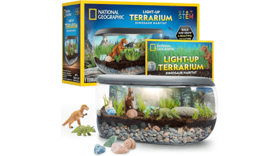 Light Up Terrarium Kit for Kids - Build a Dinosaur Habitat with Real Plants & Fossils, Science Kit, Dinosaur Toys (Amazon Exclusive)