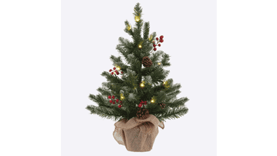 MEETYAMOR 2 FT Mini Christmas Tree with Lights Timer, Snow Flocked Tabletop Xmas Decor