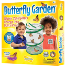 Painted Lady Butterfly Kit - Habitat, STEM Journal & Voucher for Chrysalis Log - Grow Your Own Butterfly