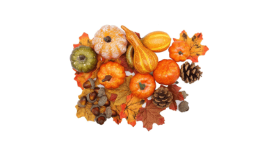Thanksgiving Artificial Pumpkins Fall Decorations for Home - 50Pcs Decor, 30 Leaves, 10 Acorns, 2 Pinecones, 8 Fake Pumpkins - Harvest Farmhouse Table Tiered Tray Set