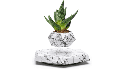 BandD Succulent Plant Pot - Magnetic Levitating Display for Home, Office, and Desk Decor (Marble)