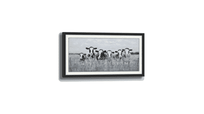 Farmhouse Black & White Cow Herd Grass Meadow Canvas Painting