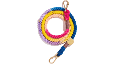 Found My Animal Light Prismatic Cotton Rope Dog Leash (Large) - Heavy Duty Training Leash - Adjustable Solid Brass Lockable Carabiners - Handcrafted Braided Rope - Made in USA