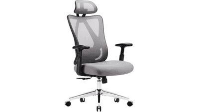 Sweetcrispy Ergonomic Office Desk Chair with Wheels, Adjustable Lumbar Support, Grey