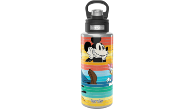 Tervis Disney Mickey Friends Insulated Tumbler Travel Cup, 32oz Stainless Steel