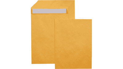 Amazon Basics 9x12 Inch Brown Kraft Mailing Envelopes, 100-Pack