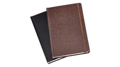 Amazon Basics Shagreen Journal, 2-Pack