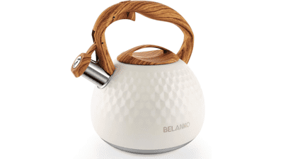 BELANKO 2.7 Quart Stainless Steel Tea Kettle