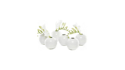 Chive Set of 6 JoJo Small 3" Sphere Ceramic Flower Vase