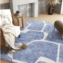 ODIKA Ultra Soft Area Rug 3x5