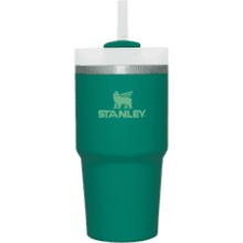 Stanley Quencher H2.0 Stainless Steel Tumbler