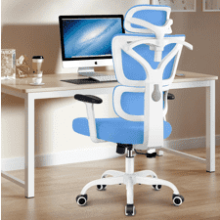 Winrise Office Chair Ergonomic Desk Chair