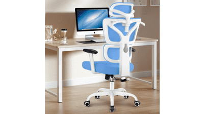 Winrise Office Chair Ergonomic Desk Chair