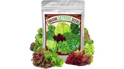 22,000+ Organic Lettuce Seeds