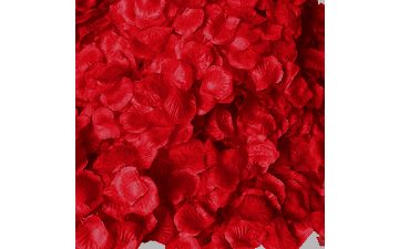 4600PCS Red Rose Petals