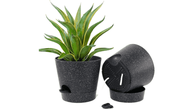 DUCINO Self Watering Pots